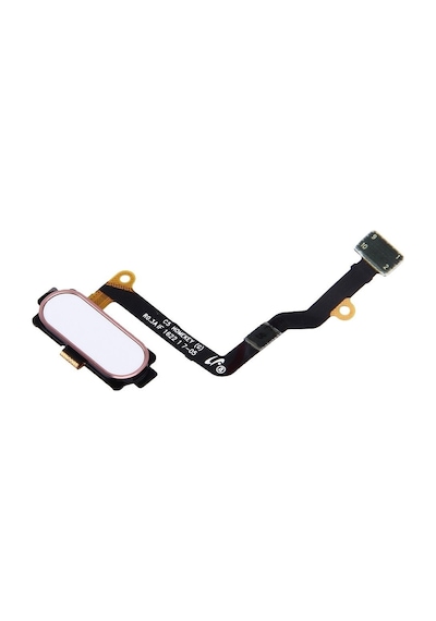 Samsung Galaxy Uyumlu C5 Pro Sm- C5010 Home Tuşu Filmi Süper Kalite Pembe