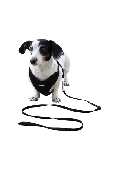 Kerbl Yavru Köpek Göğüs Tasması Siyah 30 - 50 CM Siyah