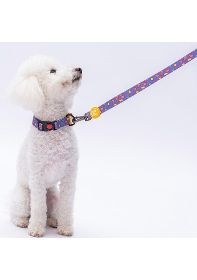 Ice Cream Dondurma Desenli Köpek Boyun Tasması Ayarlanabilir Köpek Tasması Mor