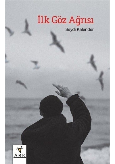 İlk Göz Ağrısı - Seydi Kalender - Ark Kitapları