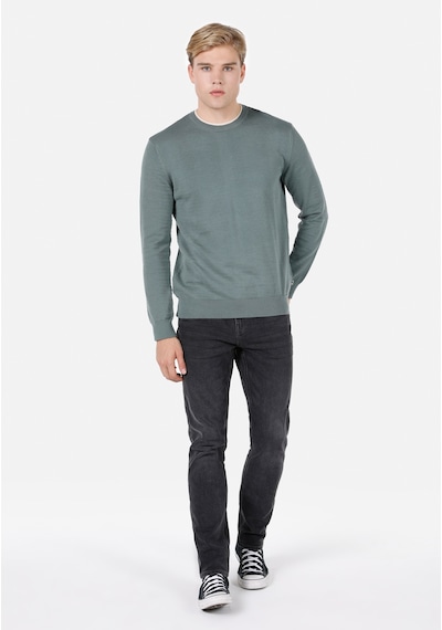 Colin's Colins Yeşil Erkek Kazak Cl1072950 Q1.v1 Fgr Yeşil