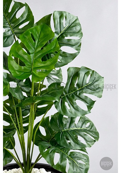 Biçiçek Yapay Monstera Deve Tabani Bi̇tki̇si̇ 130 Cm Antresi̇t Kumsal Saksıda