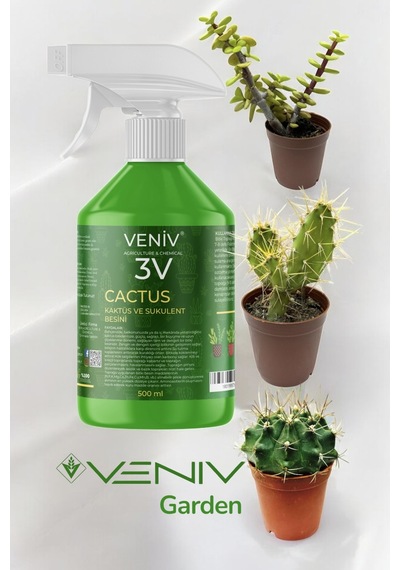 3v Cactus Sukulent Ve Kaktüs Besini+ Para Çiçeği + Top Kaktus + Dikenli Kaktus 1