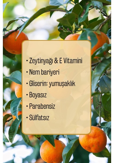 Ambrosia Nectar Zeytinyağlı Mandalina Kokulu Sıvı Sabun Refill 1500 Ml 3x500 Ml Ekonomik Paket