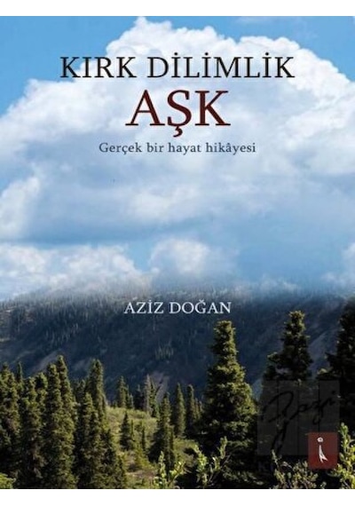 Kırk Dilimlik Aşk - Gerçek Bir Hayat Hikayesi - Aziz Doğan - İkinci Adam Yayınları