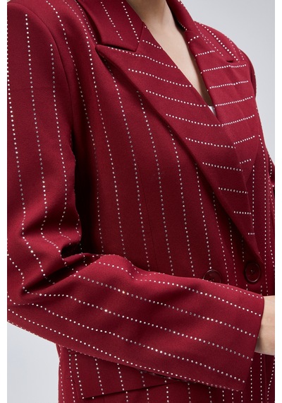 Kadın Taş İşlemeli Regular Vatkalı Blazer Ceket Siyah