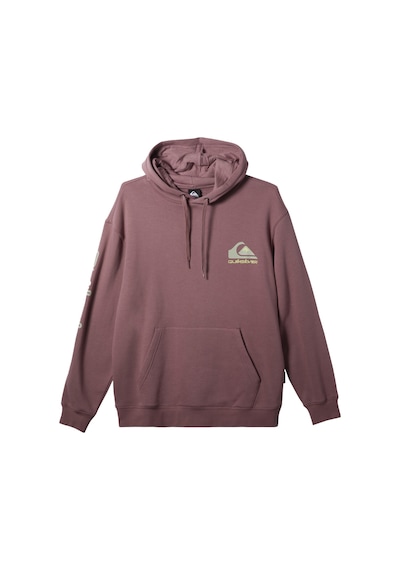 Quiksilver Omni Logo Hoodie Erkek Sweatshirt Mor
