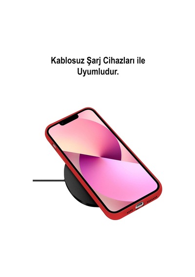 Apple Uyumlu  iPhone 13 Mini Logolu Silikon Kılıf Altı Kapalı İçi Kadife Lansman Arka Kapak