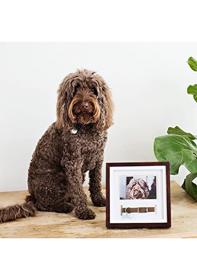 Köpek Kemikli Çerçeve 10x10 Cm Siyah 12053693