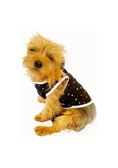 Kemique Black Hearts Köpek Atleti