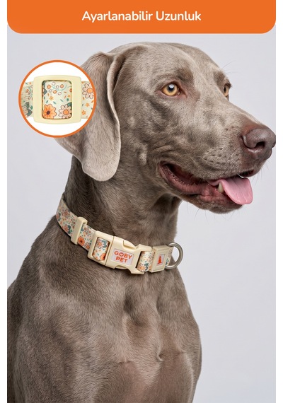 Köpekler İçin Dayanıklı Ve Güvenli, Desenli Boyun Tasması 25mm Krem
