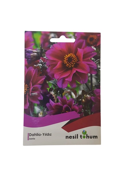 Dahlia Yıldız Çiçeği Tohumu