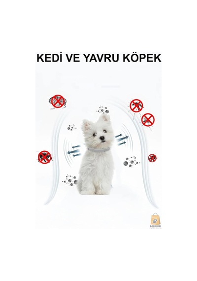 Kedi Anti Pire Kene Önleyici Tasma- 38 Cm