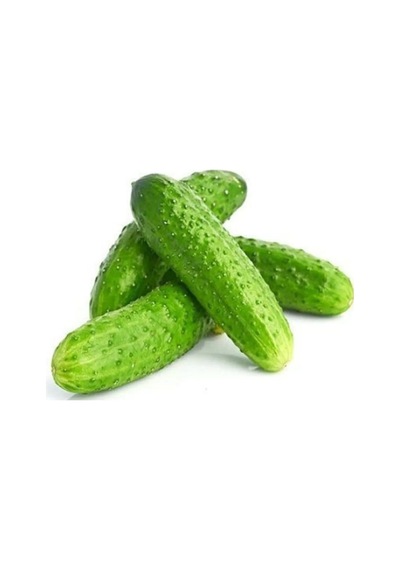 Turşuluk Hıyar Tohumu Kornişon 10 Gr