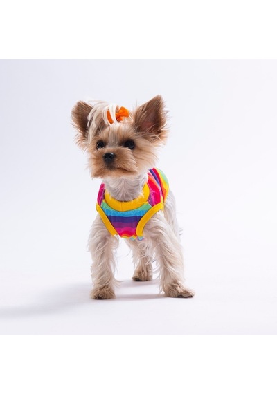 Rainbow Tişört Kedi Köpek Tişörtü-kedi Köpek Kıyafeti