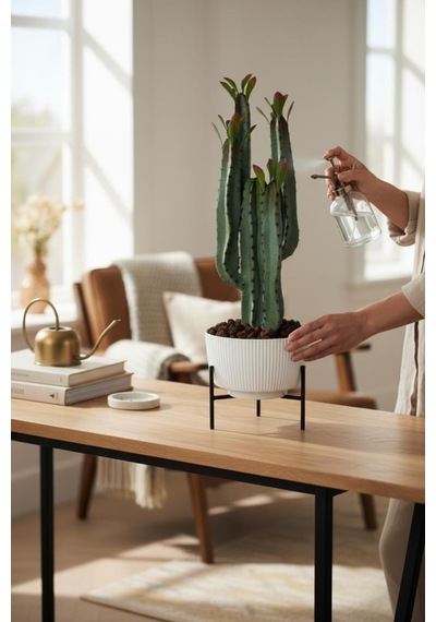 Yapay Kaktüs 4 Kollu Yapraklı Model Zigon Saksıda Yapay Bitki 70cm Yeşil