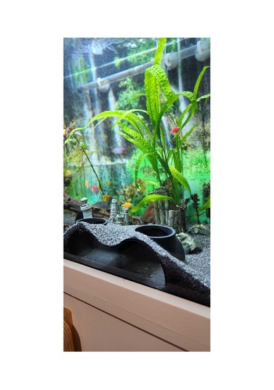 Akvaryum Dekor Balik Mağarası Sığınağı 3 Lu 210x90x70 Mm Delik Çapı 60 Mm