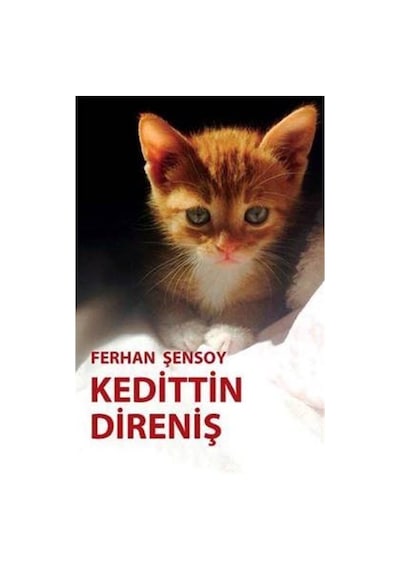 Kedittin Direniş - Ferhan Şensoy - Ortaoyuncular Yayınları