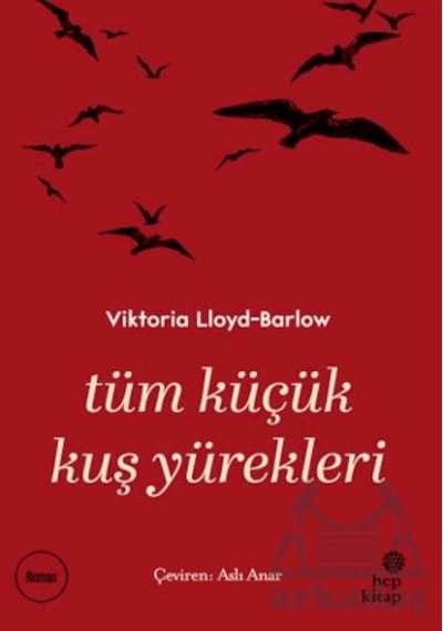 Tüm Küçük Kuş Yürekleri Hep Kitap Ciltli