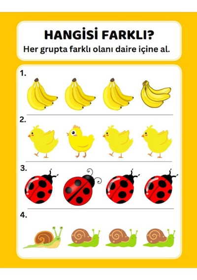 Okul Öncesi Farklı Olanı Bul Yaz-sil Kitabı