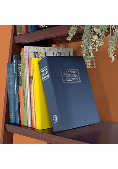 Kitap Şeklinde Mavi Büyük Boy Gizli Güvenlik Kitap Görünümlü Haz