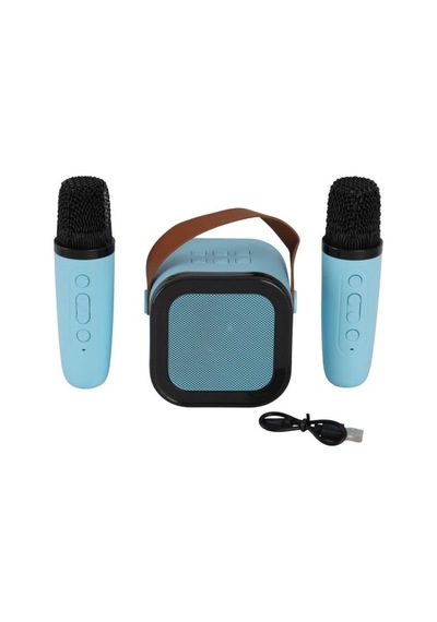 Emr-102 Kutulu 2li Karaoke Mikrofon Standart