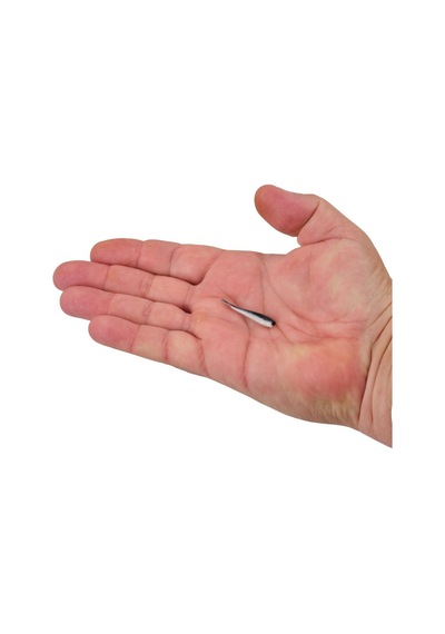 Berkley Gulp Alive Minnow 1'' 2.54 Cm Lrf Silikon Yem Black Shad