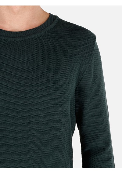 Colin's Colins Normal Kesim Bisiklet Yaka Yeşil Erkek Kazak Cl1046786 Koyu Yeşil