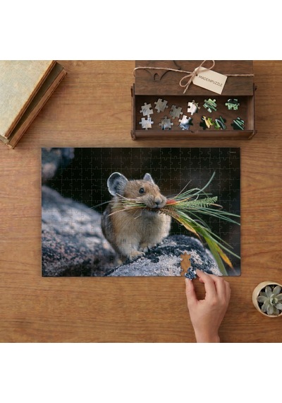 Sevimli Fare Tavşanı Tasarımı 240 Parça Ahşap Puzzle Ahşap Kutuda Mpy50189