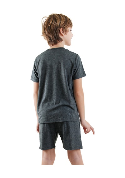 Denokids Dinozor Erkek Çocuk Gri Alt Üst Pijama Takım Renkli Çok Renkli