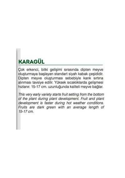 AGRodal Tarım Ata Tohumu Yerli Doğal Kabak Tohumu Karagül 20 Adet Tohum