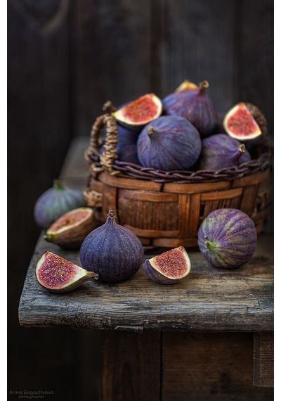 Sağlıklı Ve Lezzetli Mor İncir Fidanı Ficus Carica - 1-2 Yaşınd