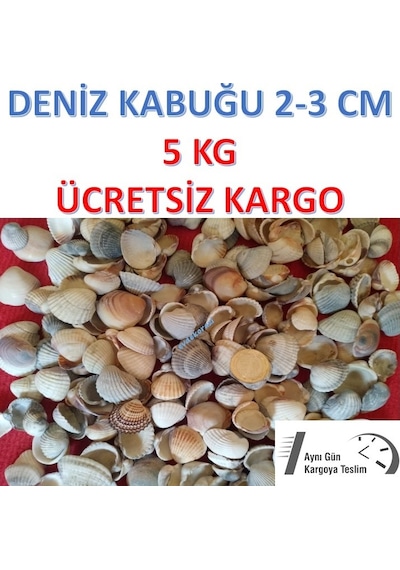 Deniz Kabuğu Kiloluk Deniz Kabuğu 5 Kg Deniz Kabuğu Deniz Kabuk