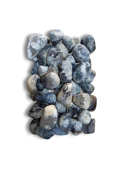 50 Gram Merlinit Dendritli Opal Tamburlu Parçalar 239-2