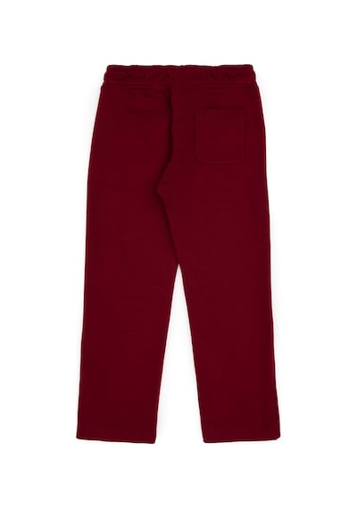 U.s. Polo Assn. Erkek Çocuk Bordo Eşofman Altı 50313816-vr014 Bordo