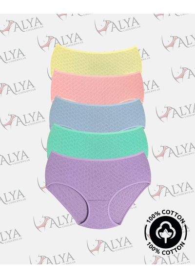 Alya Underwear %100 Pamuk Kumaşlı, Büyük Beden Yüksek Bel Kalp Desenli Ribana Jakar Kadın Külot Çok Renkli P15