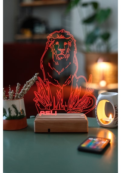 Aslan 16 Renk Kumandalı 3d Gece Lambası Çok Renkli