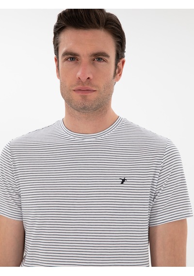 Siyah Slim Fit Bisiklet Yaka Çizgili T-shirt Beyaz