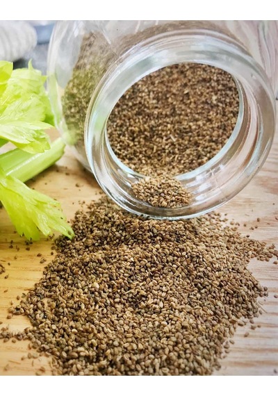 Organik Bitkim Kereviz Tohumu 1 KG