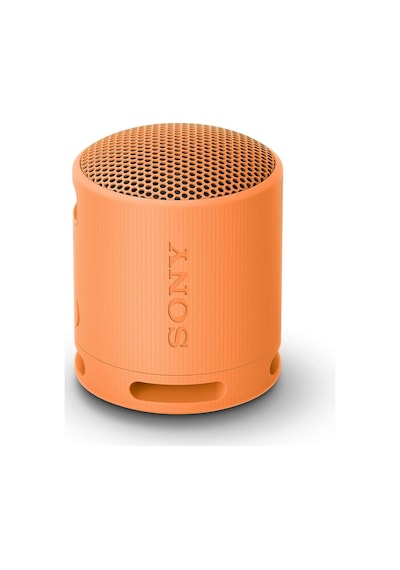 Sony Srs-xb100 Kablosuz Bluetooth Hoparlör, Ip67 Su Ve Toz Geçirmez, 16 Saat Pil Ömrü