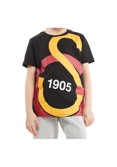 Galatasaray Büyük Logolu Çocuk T-shirt Aslan Ahşap Kutulu 001