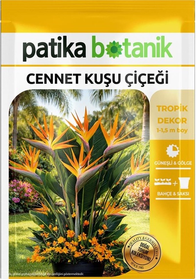 3 Adet Cennet Kuşu Çiçeği Tohumu (Strelitzia Reginae)