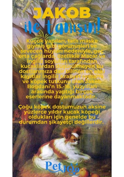 Petjoo 8.Jakob Mavi-Sarı Qr'lı Köpek Künyesi