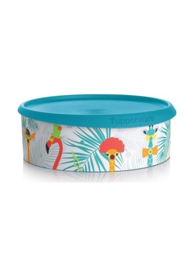 Tupperware Tek Parmak Kurabiye Kutusu Turkuaz N1143578 Çok Renkli