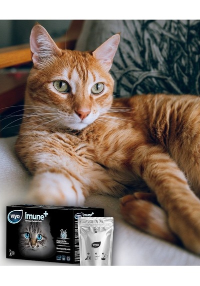 Imune+ Kedi Prebiotik Ek Besini- Lezzetli Prebiotik Sıvısı 5 Adet 5x30 Ml