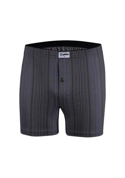 Yıldız 43 Desenli Boxer