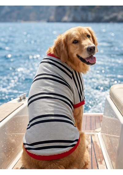 Yacht Club Marin Çizgili Orta Ve Büyük Irk Köpek Tişörtü Lacivert Kırmızı Yazlık Köpek Kıyafeti