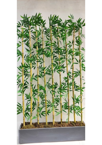 Rüzgar Yapay Çiçekçilik 170 Cm Bambu Seperatör Yeşil