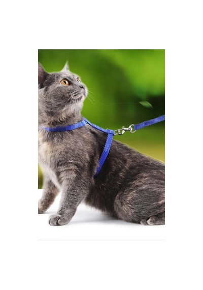 Thentech Kedi Sırt Tasması Kancalı Sağlam Kedi Tasması Göğüs Tasması Park Gezileri İçin Tasma