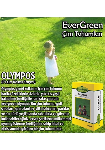 Olympos 6'Lı Karışım İthal Çim Tohumu 1 KG